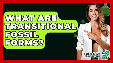 What Are Transitional Fossil Forms? - Biology For Everyone