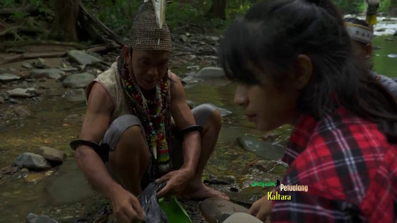 JEJAK PETUALANG - POHON RAKSASA KALIMANTAN DI MATA DUNIA (20/3/17) 3-2