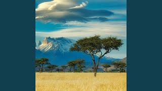 You rock my world (Afrosoul) - AMARU SOUL