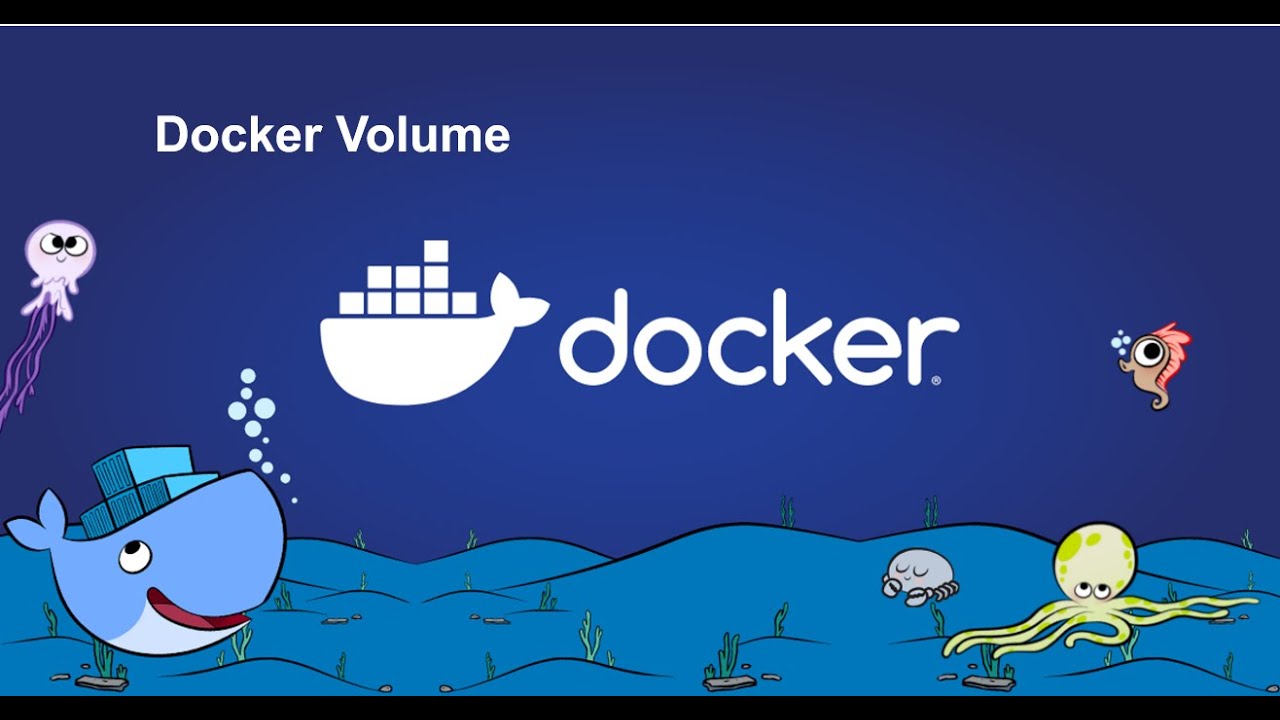 Docker volume youtube