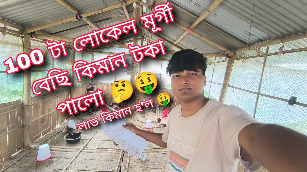 100 টা লোকেল মূৰ্গী‌ বেছি কিমান টকা পালো 🤔🤑 ।। লাভ কিমান হ'ল 🤑 ।। ₹ **,0000 rs 🤑 ll Traveller Aditya