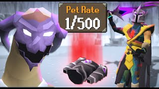 Easy Money | Pet Roulette screenshot 5