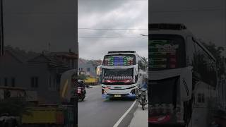 Download Lagu Story'WA bus BAIK RASA KIDS PANDA mboiss 30 detik MP3