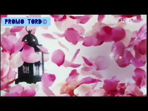 MBC Drama Ldents Ramadan 2013 2