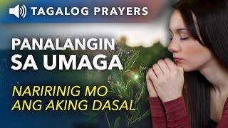 Panalangin sa Umaga (Pagkagising): Naririnig Mo Ang Aking Dasal • Tagalog Morning Prayer