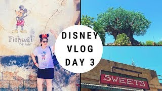 DISNEY WORLD TRAVEL VIDEO DAY 3 | Visiting Pandora, Riding Everest 2019
In this vlog we are visiting Animal Kingdom, riding Everest and riding Flight of Passage! It was so fun visiting Pandora with my sister, the new Avatar land is so awesome!
Let me know in the comments what your favorite Animal Kingdom rides are, and hit the red subscribe button to catch all my weekly videos. And follow the links below to see days 1 and 2 of our trip. Thanks for watching!
Videos 1, 2, and 3 of this trip below!!
Day 1, Hollywood Studios: https://www.youtube.com/watch?v=MeIIioUUCj8&list=PLl5PHe-fUKqA74txy4WGLiosUwoto73Tj&index=2&t=35s
Day 2, rope dropping Epcot: https://www.youtube.com/watch?v=GKPS7m-o_bU&list=PLl5PHe-fUKqA74txy4WGLiosUwoto73Tj&index=3&t=0s
Day 2 part 2, all Magic Kingdom rides! https://www.youtube.com/watch?v=xESityg8vD0&list=PLl5PHe-fUKqA74txy4WGLiosUwoto73Tj&index=4&t=55s
Follow me on Instagram! https://www.instagram.com/erica terry/
Music: Epidemic Sound DISNEY WORLD TRAVEL VIDEO DAY 3 | Visiting Pandora, Riding Everest 2019