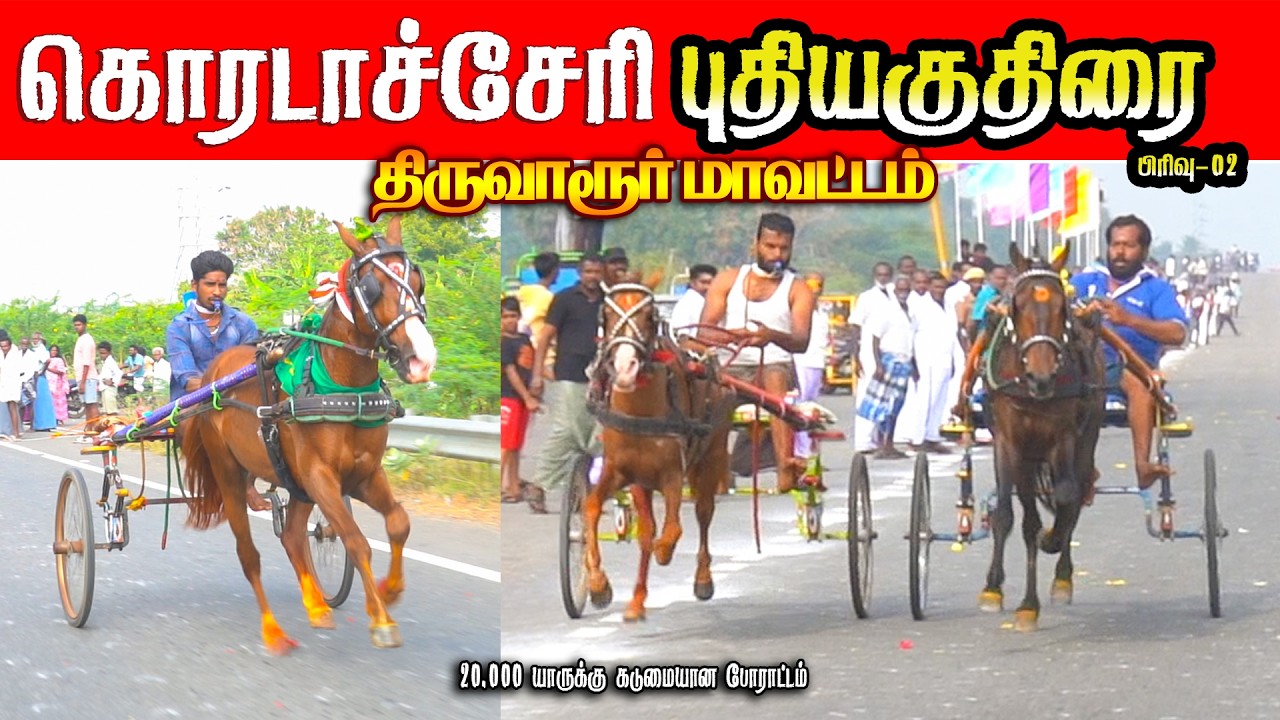 கொரடாச்சேரி புதியகுதிரை-02 15/02/2026