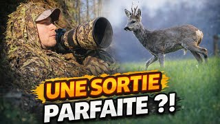 Un journée en NATURE - VLOG ANIMALIER #explorationnature #photographieanimaliere 