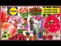 Lidl  catalogue du 280524 au 040624 fleurs plantes fruits et legumes