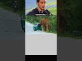 elephant funny voiceover video 😂🤣