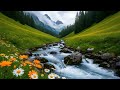 Whispering River – Serene Water and Bird Sounds for Restful Sleep and Inner Balance