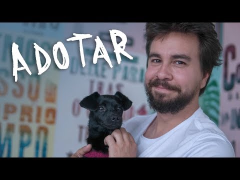 Adoção de Animais (Ou Hoje Eu Quero Voltar Com Um Cãozinho)