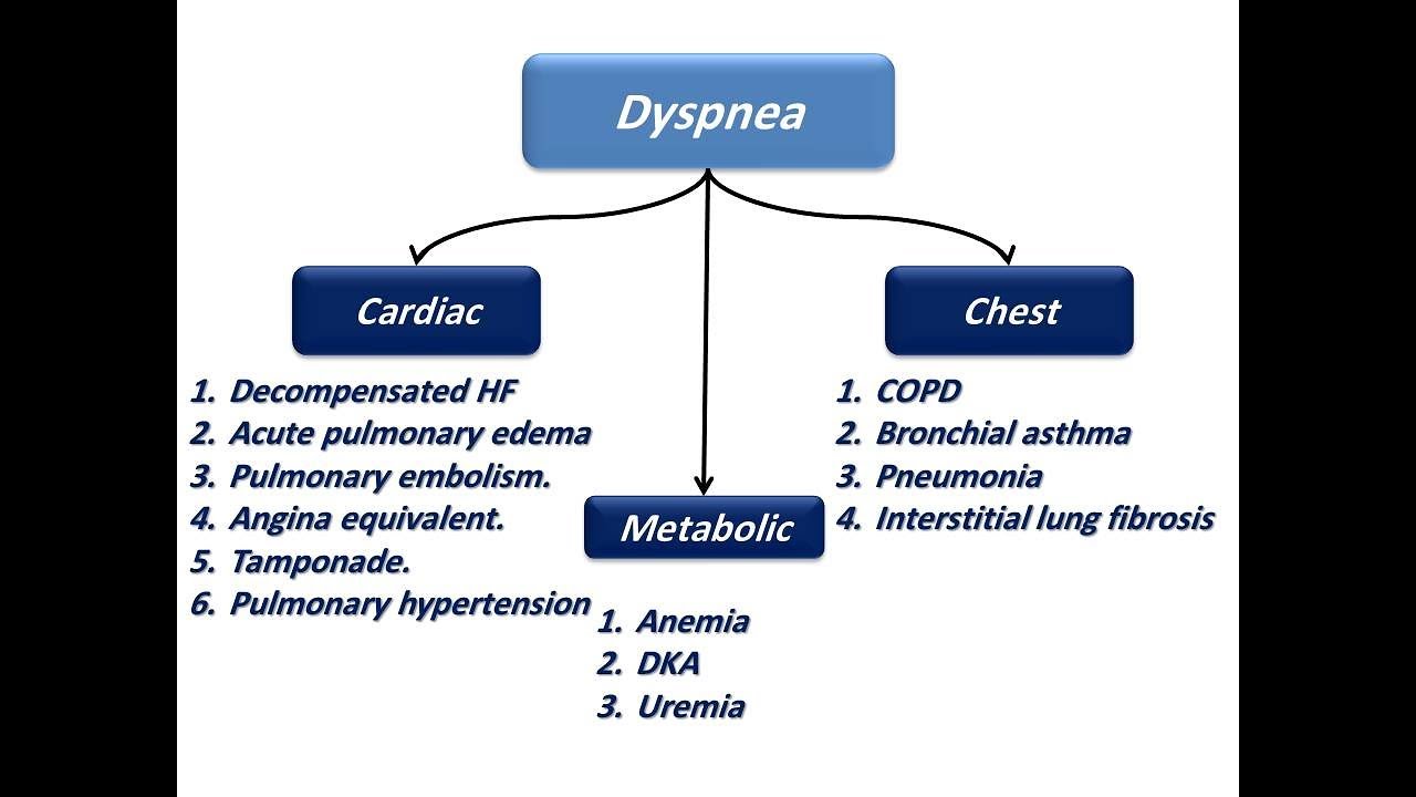 approach-to-a-patient-with-dyspnea-dr-sherif-altoukhy-youtube