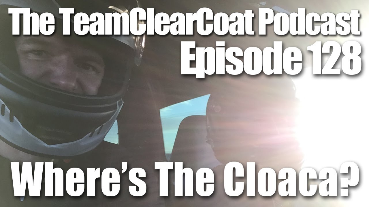 The TeamClearCoat Podcast - Episode 128 - Where's the Cloaca?