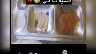 شيلة الدورة العسكرية كان عندي غزال 🦌🎶💃