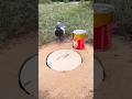 Survival skills: simple and useful ideas with rabbits and pigeons #like #campping #outdoors #music