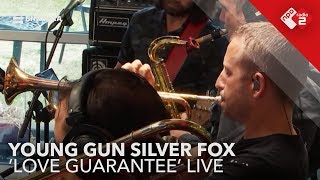 Young Gun Silver Fox - Love Guarantee Live -Willem Start Op