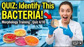 " Bacteria Colony Morphology "🧫🔬 Identification Training - Quiz 4/10