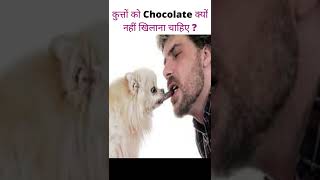 Kutto Ko Chocolate Kyo Nahi Khilana Chahiye Benaam