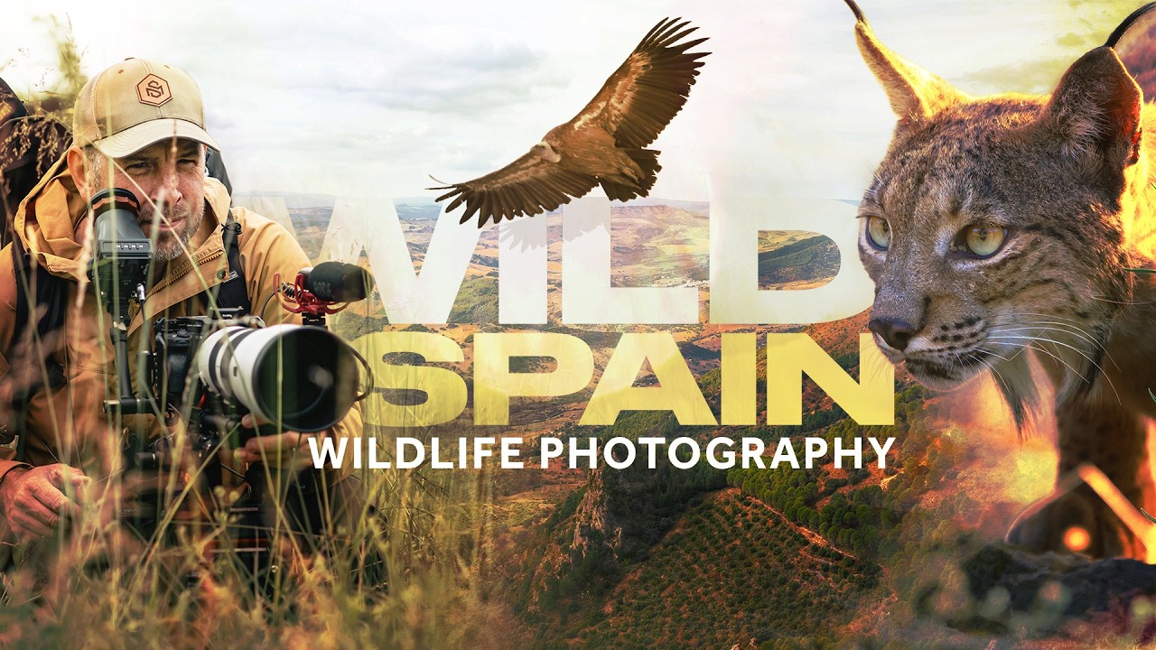 Wild Andalusia - Land of the Lynx