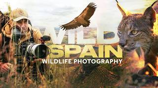 Wild Andalusia - Land of the Lynx