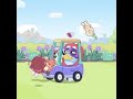 Iris Bluey, met Bingo