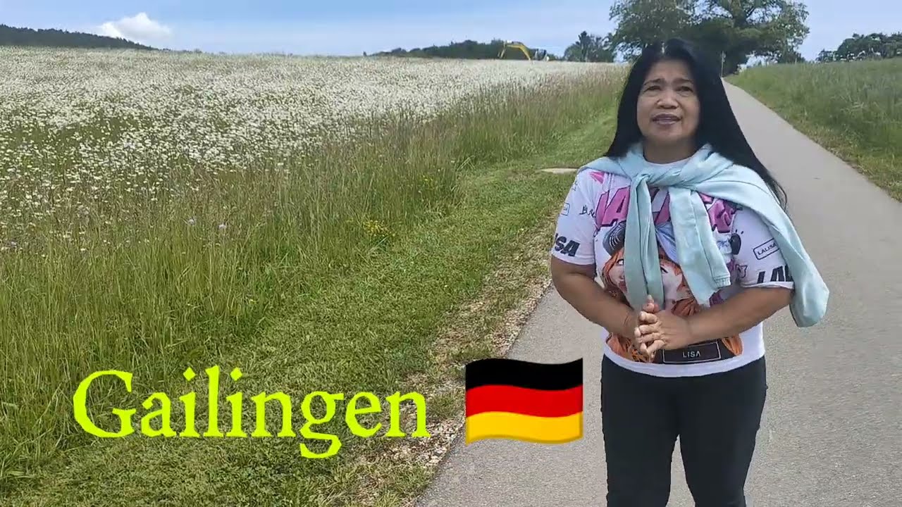 Gailingen Germany#vlog #myswitzerland #wineyard #highlights #mountains #travel