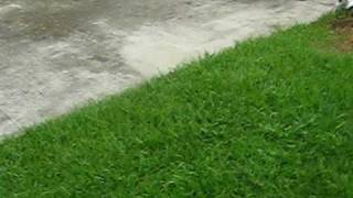 MVI_3306.AVI