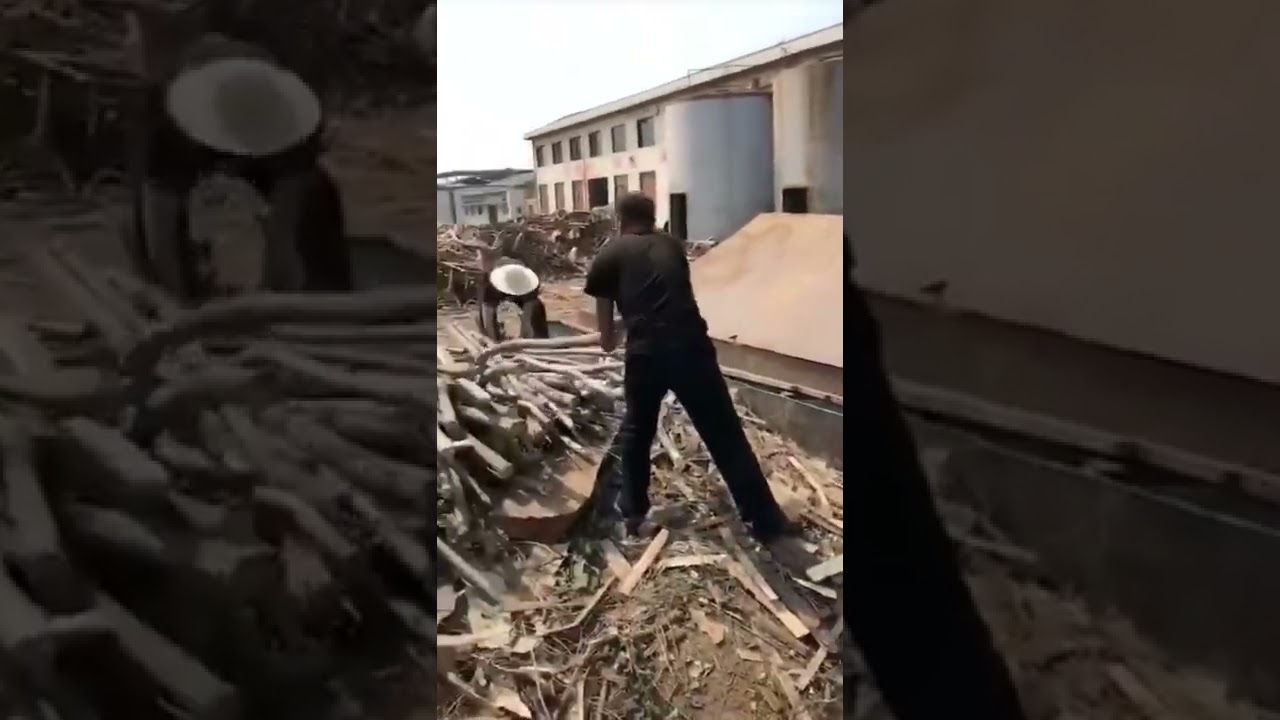 Shred wood factory ✅