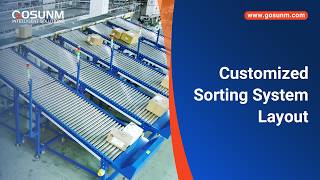 Custom Dynamic DWS & 13-Outlets Parcel Sorter - Gosunm Intelligent