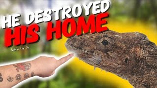 False Chameleon Enclosure Build