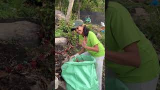 Temple Cleaning Drive In Action 