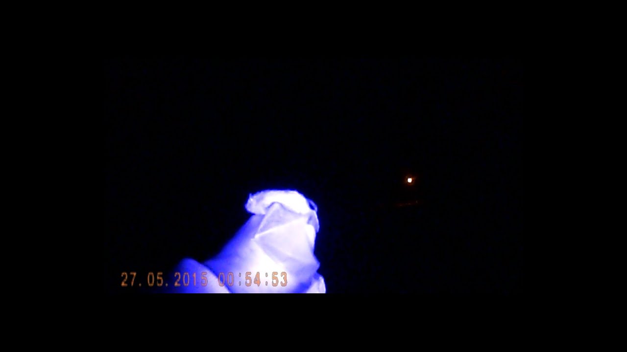 Microbat broad nose release from rescue 26/05/2015