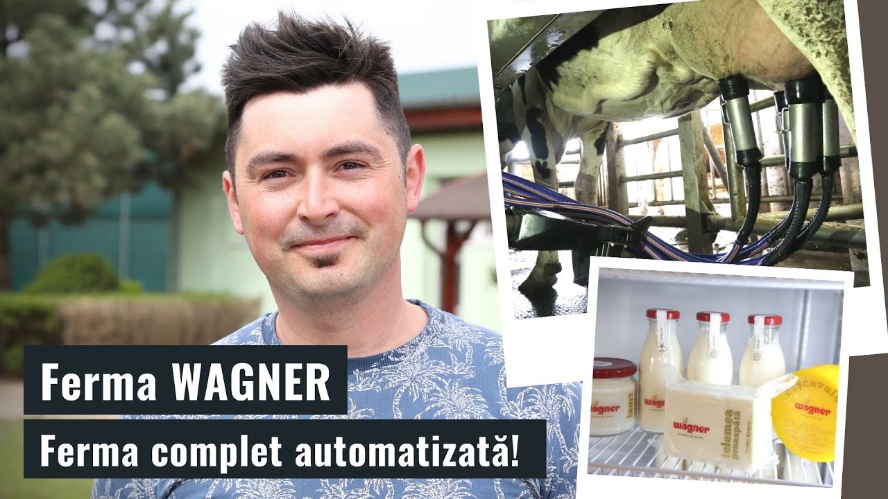 Ferma moderna Wagner de vaci cu robot de muls DeLaval
