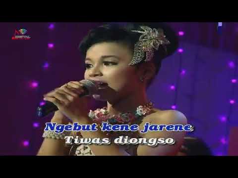 Tasya Rosmala | Rujak Uleg New Pallapa ( Official Video Music )