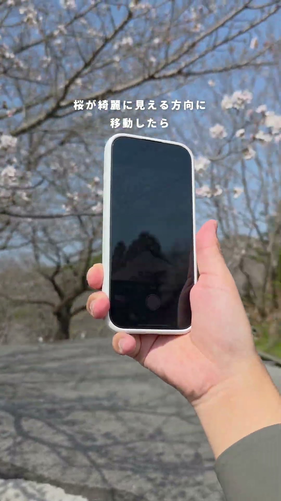 桜様 iphone3台口 【公式通販】 桜様 iphone3台口