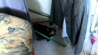 DSCF0433.AVI