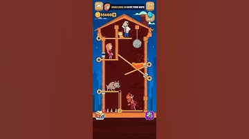 Home Pin Game Hard Level 20, Save Your Wife