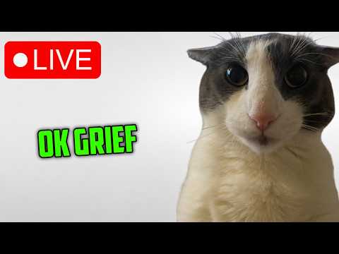 GRIEF Stream 3 - bro running