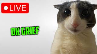 GRIEF Stream 3 - bro running