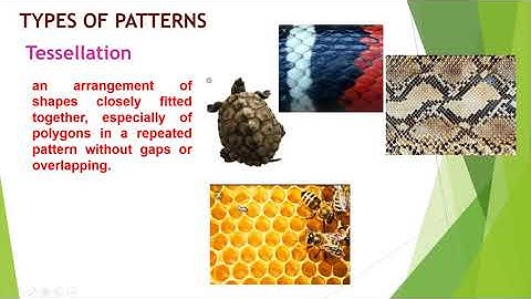 Patterns and Numbers in Nature and the World part 2