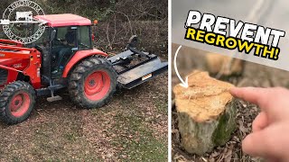 Clearing Overgrown Brush and Trees | Quick Attach Brush Thrasher + EA Grapple by Arrow JM Farm & Outdoors  567 views 2 months ago 22 minutes