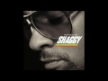 Shaggy feat Kevin Rudolf &amp; Lil Jon-Fading Away