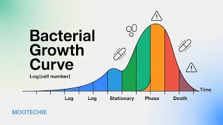 Bacterial Growth Curve Explained | Lag, Log, Stationary &amp; Death Phases | Mootechie