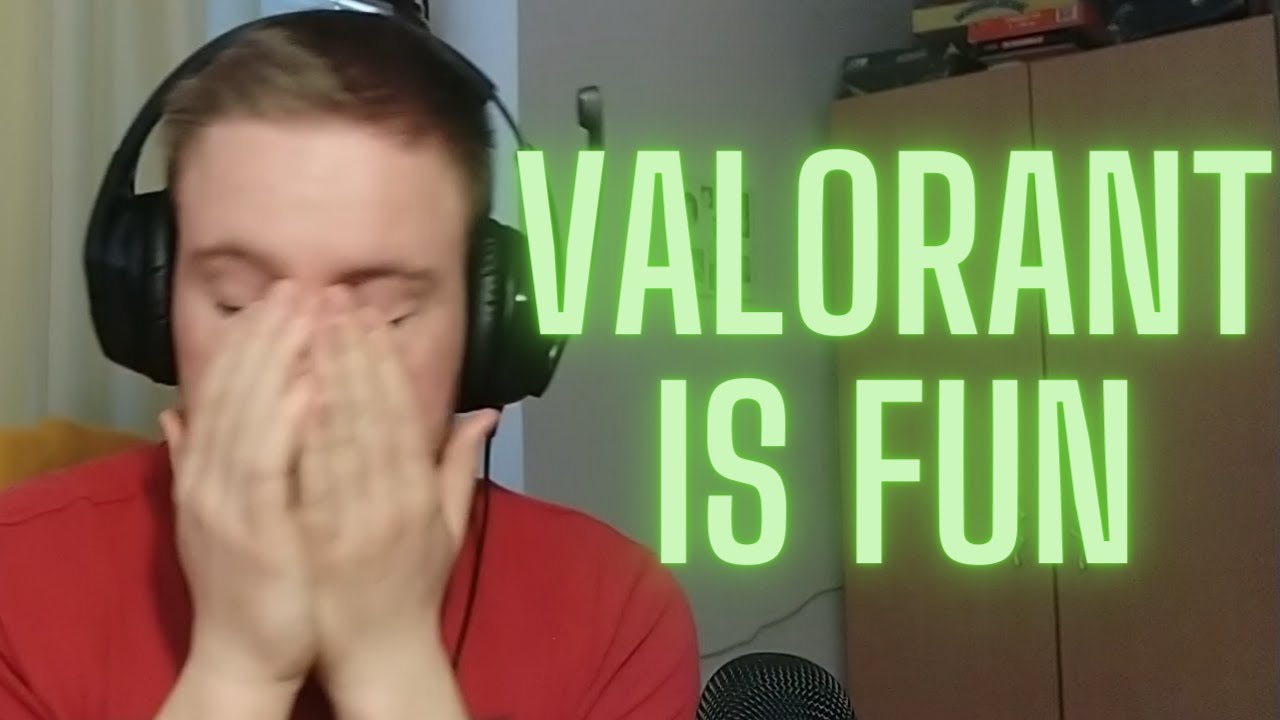 I played valorant the other day