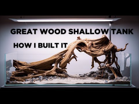 My Great Wood shallow tank - How I built it (tutorial)