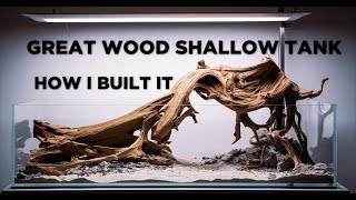 Great Wood shallow aquarium  Aquascaping tutorial