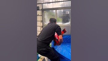 Great Hi Utsuri #shorts