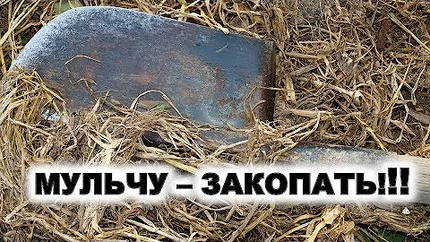 Jak přidávat rašelinu do půdy?