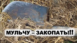 Что сделать с мульчой осенью? Мульчу- закопать! Как и с чем закопать остатки мульчи в почву?